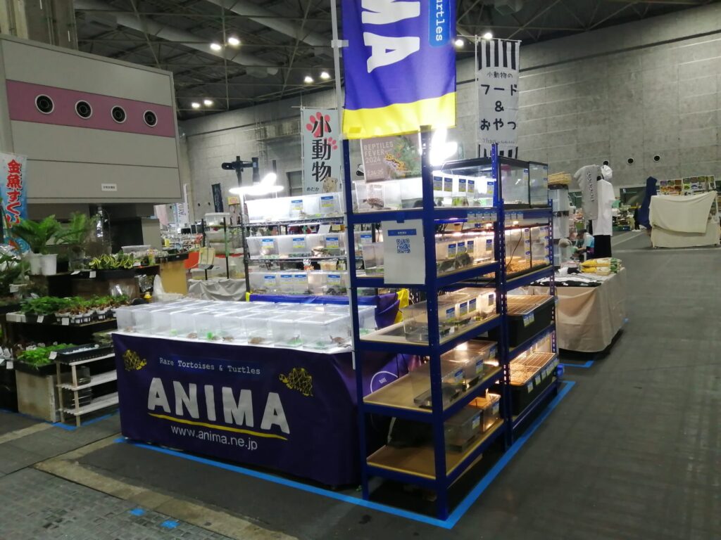 ANIMA イベント