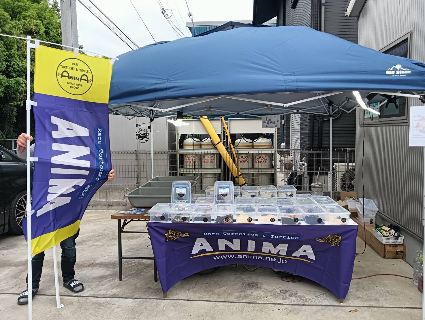 OTODOKE ANIMA ご来場お礼