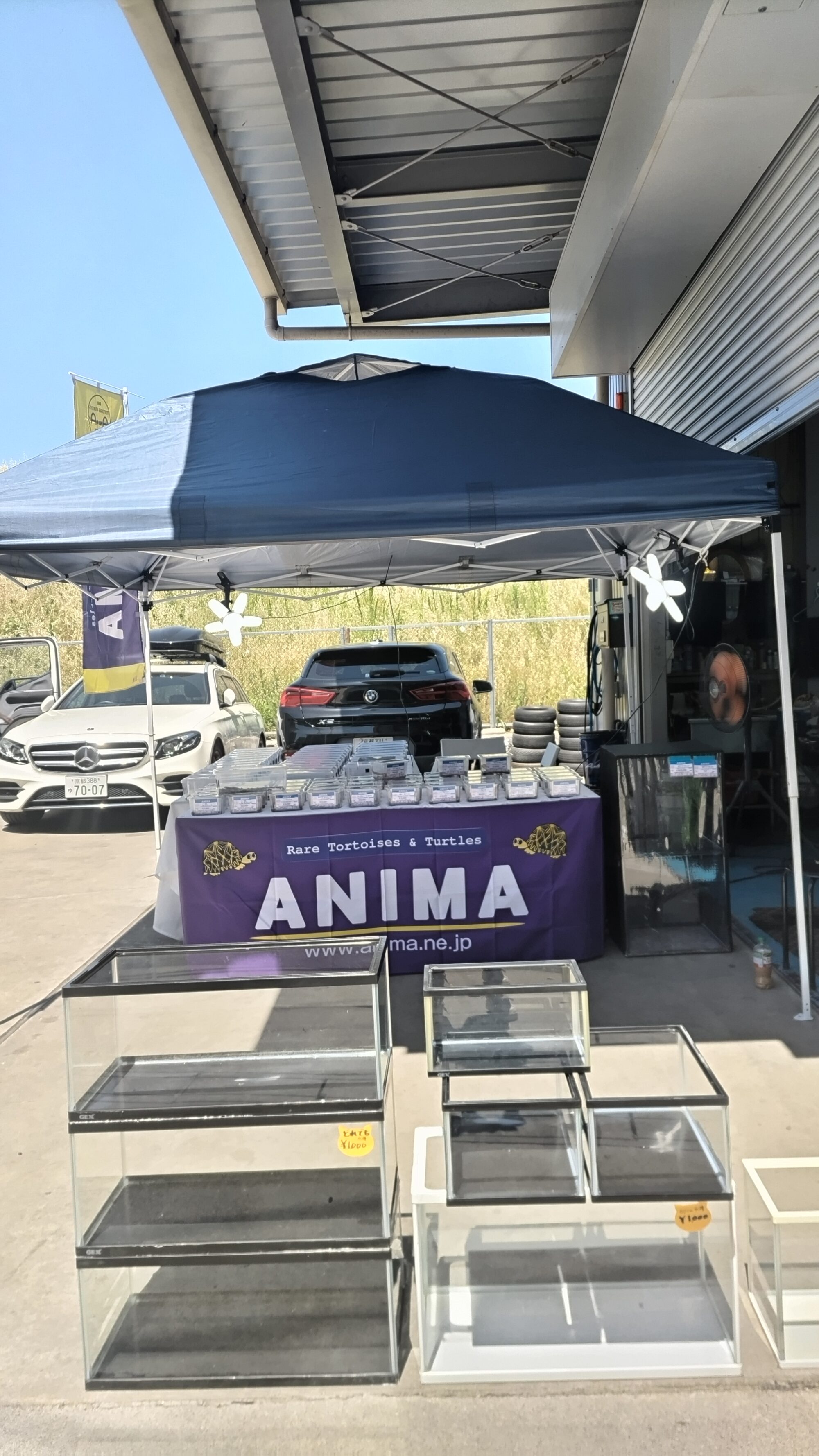 『OTODOKE  ANIMA ヤモリの会』開催中!
